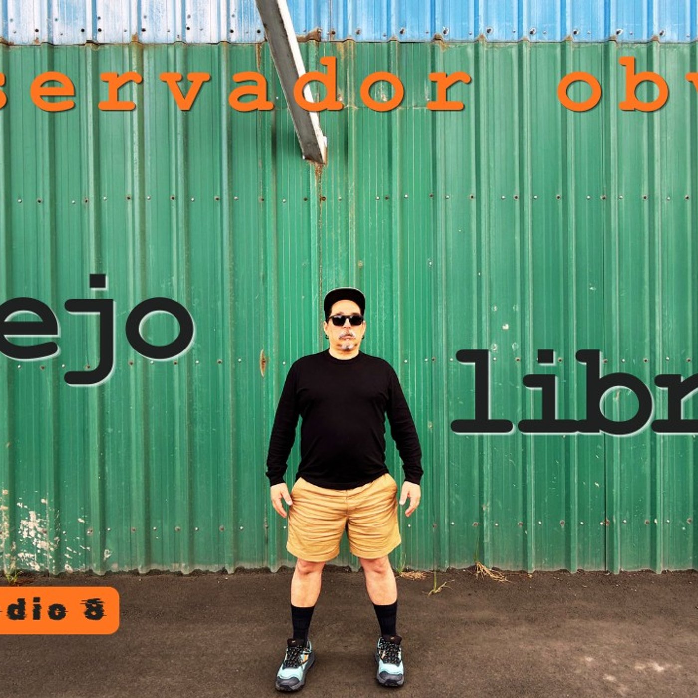 Portada de Observador Obvio